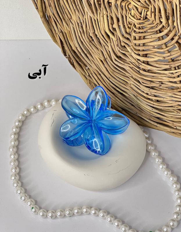پلومریا شیشه ای💎