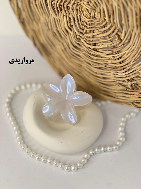 پلومریا صدفی🐚