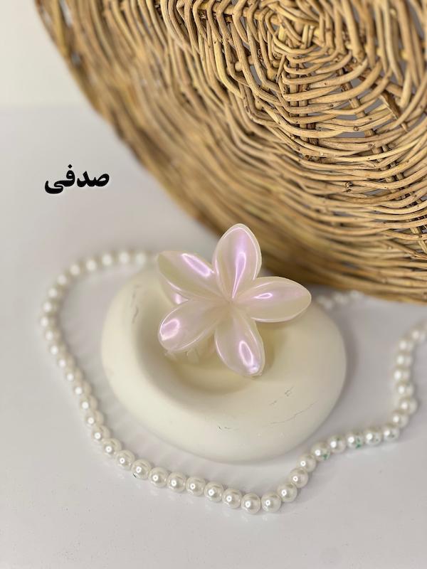 پلومریا صدفی🐚