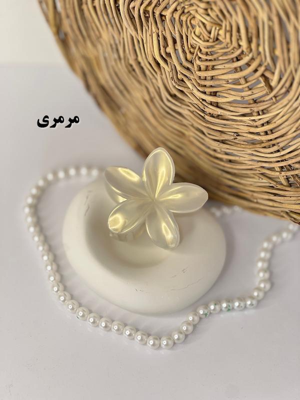 پلومریا صدفی🐚