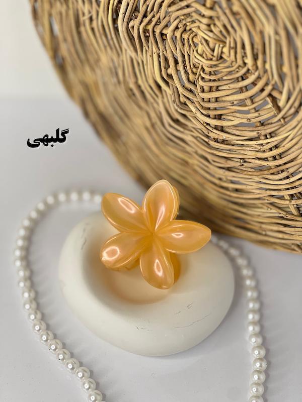 پلومریا صدفی🐚