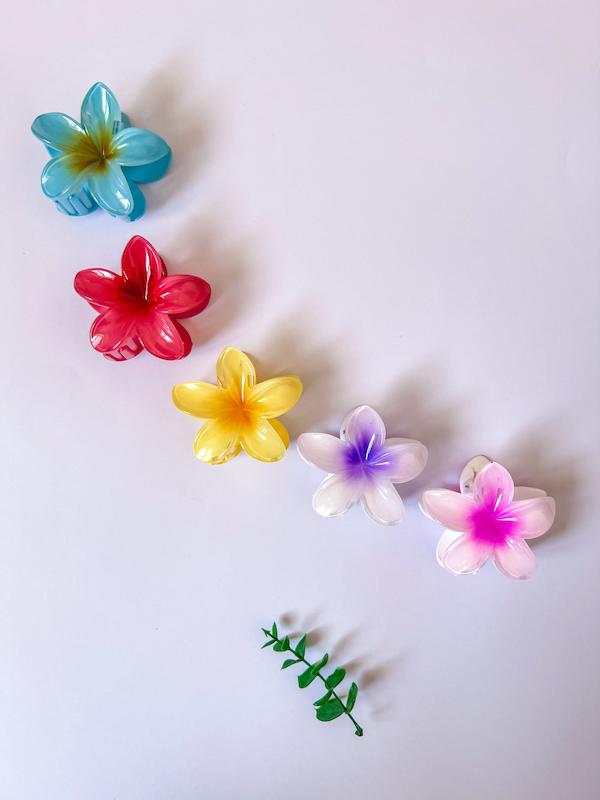  پلومریا سایز بزرگ (۸ سانت)🌸