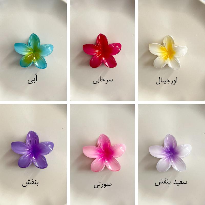 پلومریا۶ سانت 🌟
