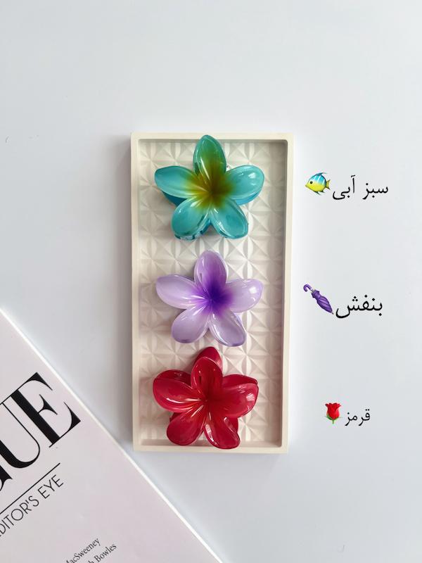 پلومریا سایز بزرگ ۸ سانت