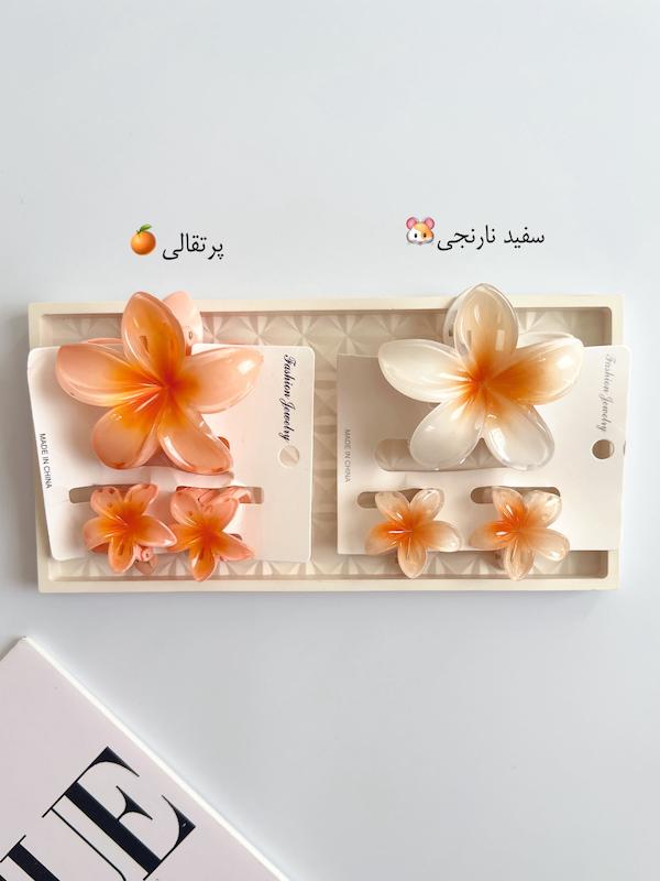 پلومریا مادر و کودک🛍️