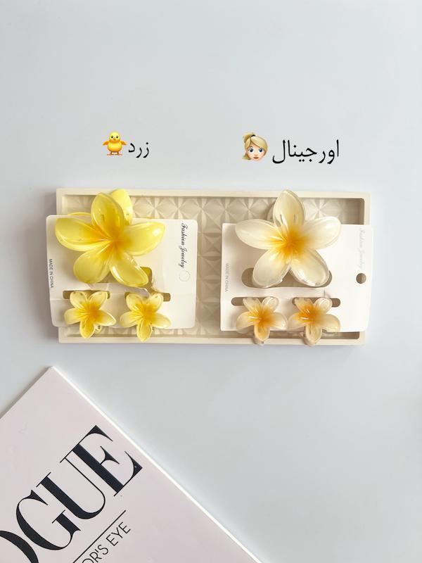 پلومریا مادر و کودک🛍️