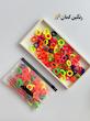 کش کیفی صدتایی اقتصادی🌈