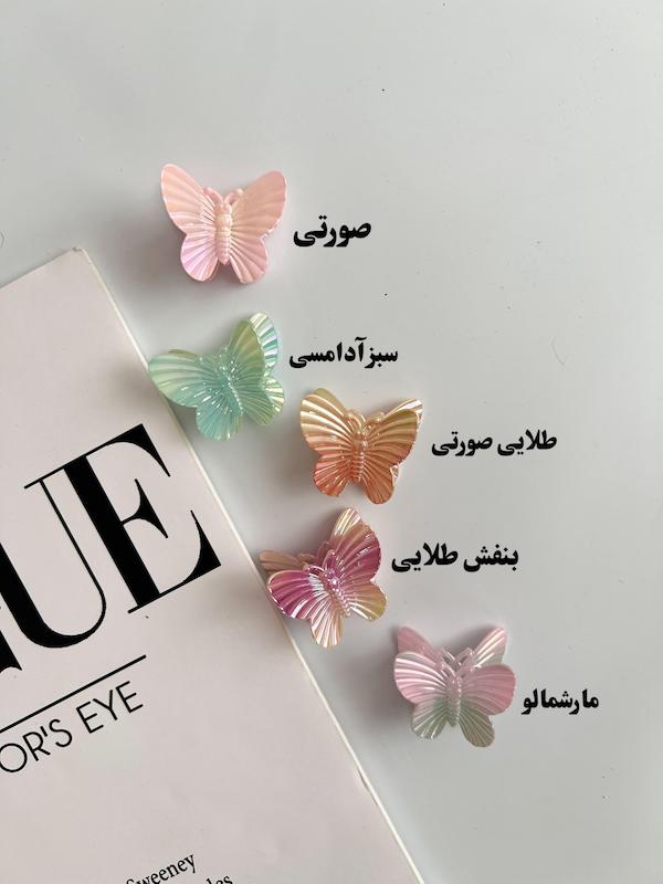کلیپس پروانه کروم سایز کوچک🦋