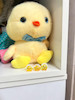 جوجک شبتاب🐥🐤پک ۳ عددی