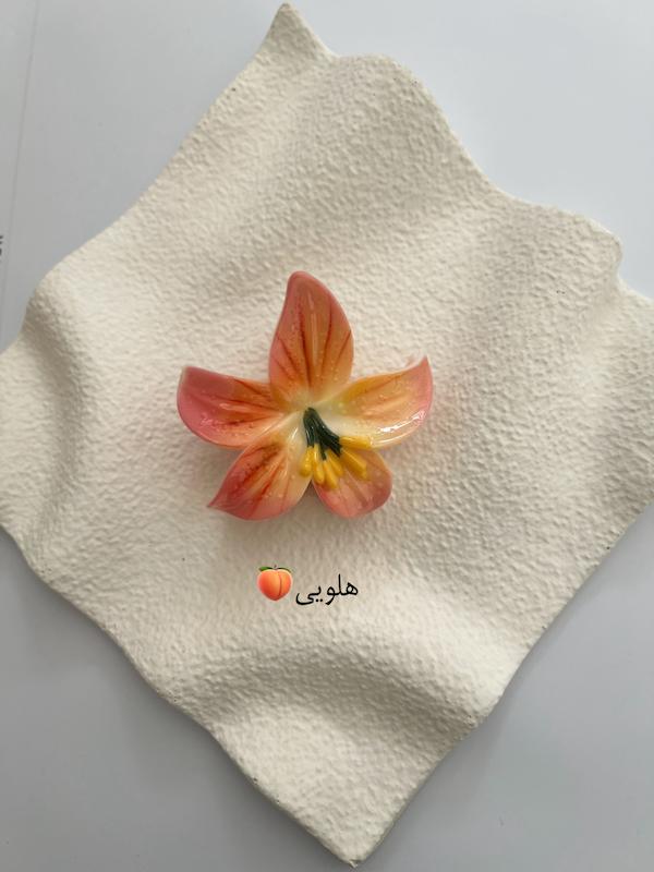 کلیپس‌ پینترستی لیلیوم🌺