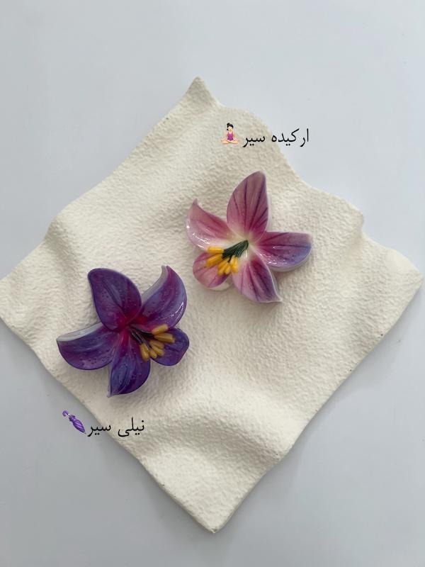 کلیپس‌ پینترستی لیلیوم🌺