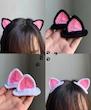 گیره گوش گربه🐱