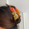 کلیپس ژورنالی‌پاییز🍁