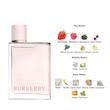 عطر باربری هر الکثیر BURBERRY 🍓
