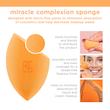پد آرایشی ریل تکنیک MIRACLE COMPLEXION SPONGE 🍋