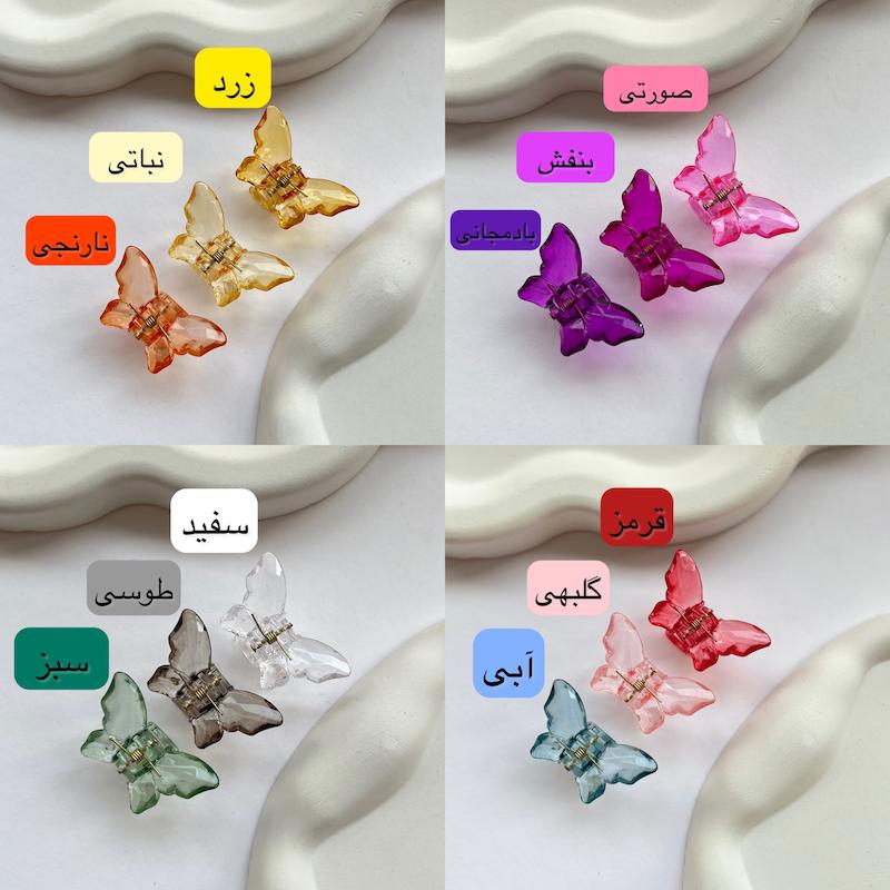 مینی کلیپس پروانه شیشه ای🦋