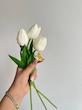 مینی کلیپس پلومریا🌸