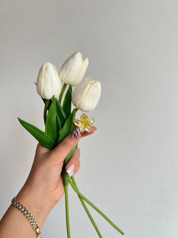 مینی کلیپس پلومریا🌸