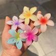 پلومریا انبری🌺
