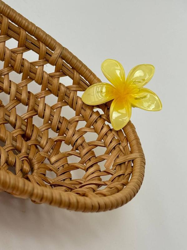 پلومریا انبری🌼