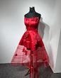پیراهن مجلسی زنانه آتورینا Red Roses