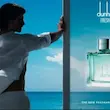 خرید قیمت شیشه عطر دانهیل فرش با رایحه خنک و گیاهی در کنار لیمو و نعنا در  Elsa Perfume 