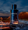 عطر ادکلن دیور ساواج مردانه اصل با رایحه معتدل و تند در طبیعت - Dior Sauvage