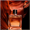 عطر ادکلن تق هرمس مردانه با رایحه تلخ و چوبی و ماندگاری بسیار بالا - Terre d'Hermès