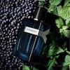  رایحه فوژه و خنک عطر مردانه وای ایو سن لوران مناسب چهارفصل - اسانس لوزی درجه یک