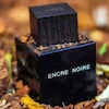 رایحه چوبی و گرم عطر مردانه انکر نویر لالیک مناسب فصل سرد - اسانس لوزی درجه یک Elsa Perfume