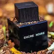 رایحه چوبی و گرم عطر مردانه انکر نویر لالیک مناسب فصل سرد - اسانس لوزی درجه یک Elsa Perfume