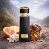 عطر تایگار بولگاری پخش بو و ماندگاری بالا در Elsa perfume