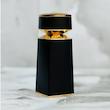 عطر ادکلن بولگاری تایگار ۱۰۰ میل مردانه - رایحه خنک و تلخ لوکس
