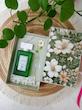 عطر ادکلن آمور ورت میسون Amour Vert Maison حجم 100 میل