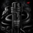 ادکلن مسمم بلک اینتنس 100 میل لطافه Lattafa Musamam Black Intense 