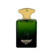  عطر مردانه آمواج اپیک برندینی 33 میل | Amouage Epic 33 