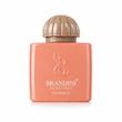 عطر امواج گایدنس زنانه و مردانه برندینی 33 میل Brandini Guidance  