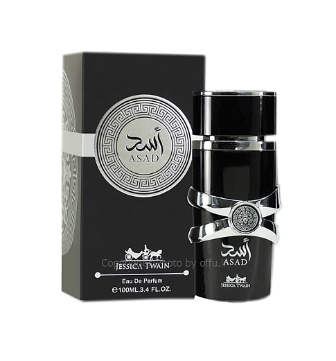 عطر و ادکلن پرفیوم جسیکا تواین مدل اسد  JESSICA TWIN ASAD حجم 100 میلی لیتر