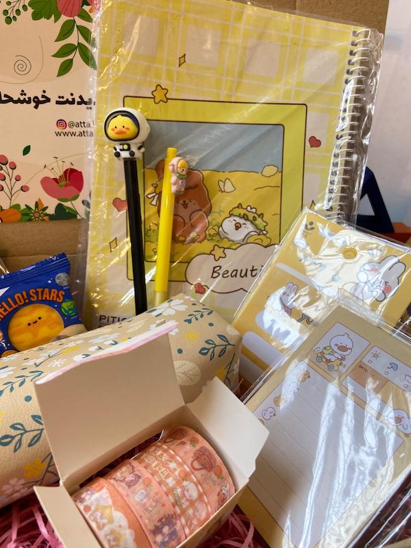 عاطاباکس بچه‌مهندس مدل طلایی | جعبه هدیه شامل دفتر نقاشی، جامدادی چرمی گل، استیک‌نوت خرگوش، نوت‌پد اردک، دفترچه سیمی اردک، روان‌نویس‌ها، پاک‌کن خورشید و چسب واشی