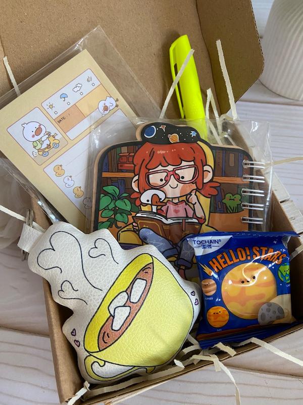 عاطاباکس نازگل مدل دختر کتاب‌خوان | هدیه خاص برای دخترای اهل مطالعه