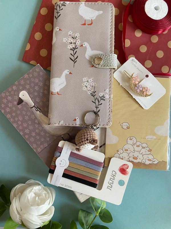 پاکت هدیه سری عیدی  مدل مزرعه مهربون با بسته بندی رایگان