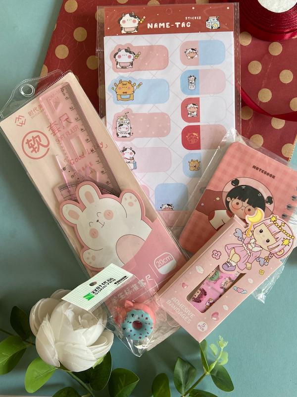 پاکت هدیه سری عیدی  مدل دختر باهوش با بسته بندی رایگان