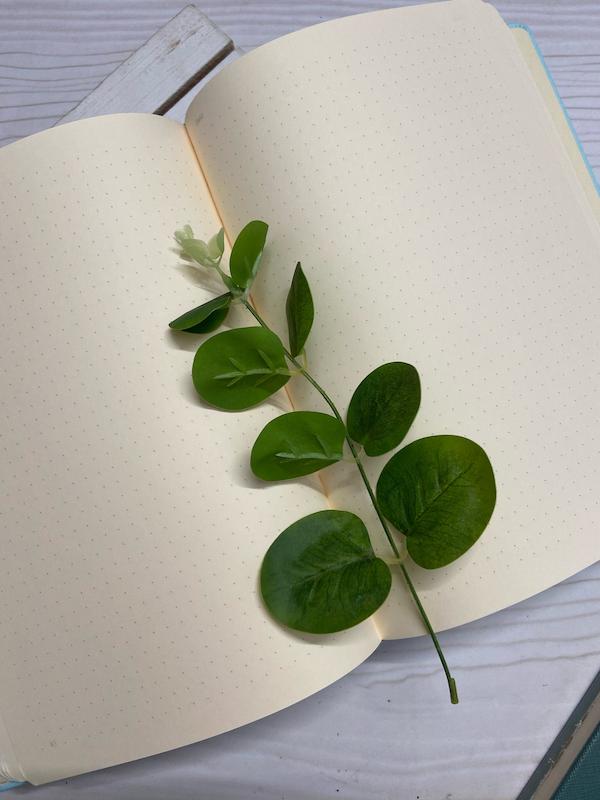 دفتر بولت ژورنال دات نوت dotnote با کاغذ نقطه ای کرم با جلد چرمی رنگ های پاستلی 