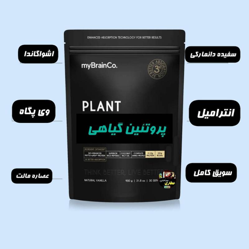 پروتئین وی گیاهی 