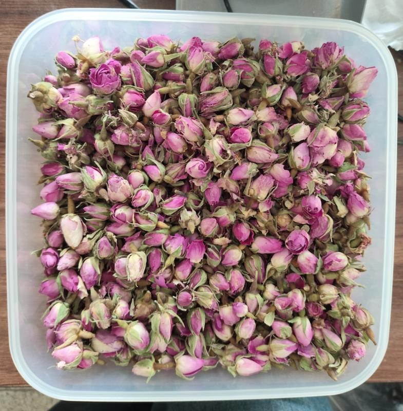 غنچه گل سرخ داراب ۲۵ گرمی عطاری دیسکورید