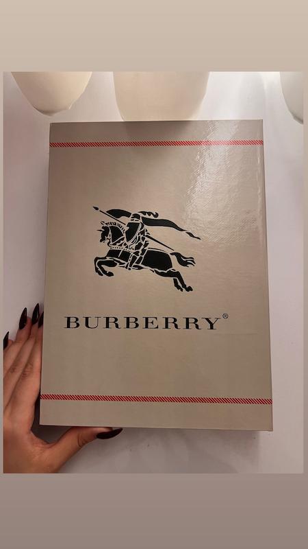 کتاب دکوراتیو Burberry