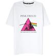 PINK FREUD