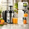 آبمیوه گیری 4 کاره گابریلا (GABRIELA) - ضمانت اختصاصی ۲۵ ماهه لامیروهوم