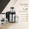 آبمیوه‌گیری ۴ کاره گلدن GOLDEN - پک اختصاصی با ضمانت ۲۵ ماهه لامیروهوم
