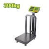 ترازو دیجیتالی 300 کیلویی DAYLO مدل DTEC1531